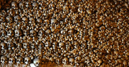 Lots of stacked human bones and skullsの写真素材