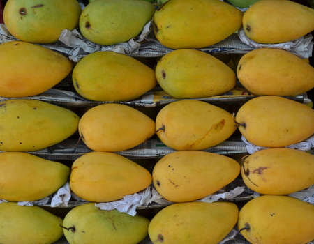 Tray of fresh green and yellow mangosの写真素材