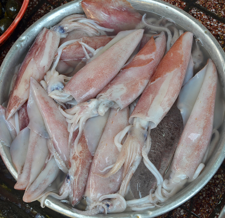 Fresh squids on tray for sale in local marketの写真素材