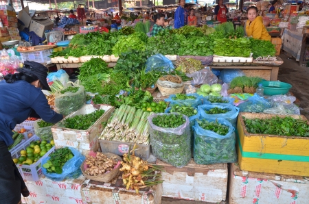 Pakxe, Laos - October 2013 - female vendor preparing her stall of fresh vegetables and herbs at local marketのeditorial素材