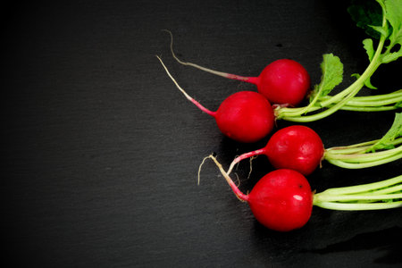 Organic fresh red Radishes on black slate stone plateの写真素材