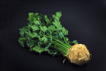 Organic vegetable parsley on black background with copy space