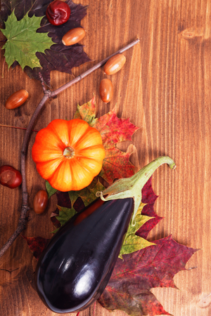 Pumpkin, Eggplant and nuts on Autumn leaves on wood background for seasonal or halloween holidays background with copy spaceの写真素材