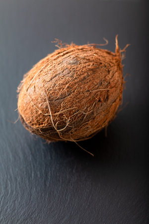 Whole single organic Tropical coconut  fruit on black slate stone background with copy space