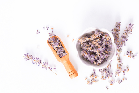 Dried organic lavender on white backgroundの写真素材
