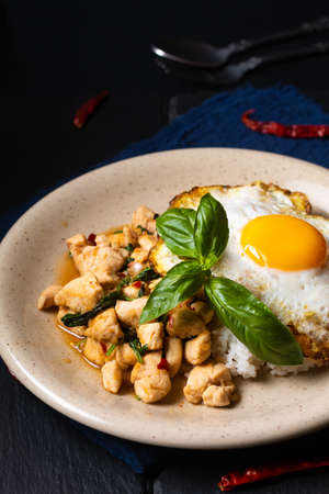 Thai food concept Khao pad krapao kai Authentic Thai Basil Chicken rice and crispy fried egg toppingの写真素材