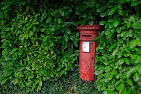 An old-fashioned red postbox surrounded by green leaves の写真素材