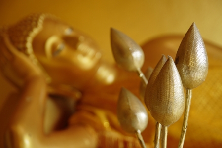 Golden artificial lotus flowers with reclining Budha as a backgroundの写真素材