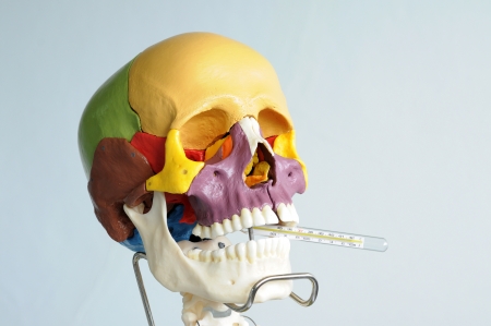 close up to human skullの写真素材
