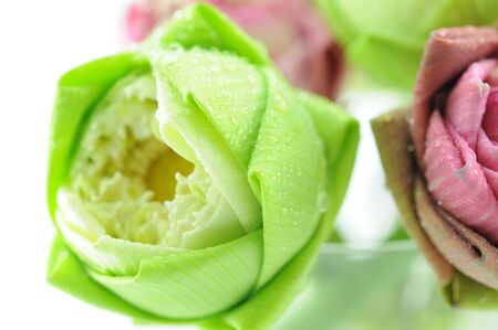 close up to lotusの写真素材