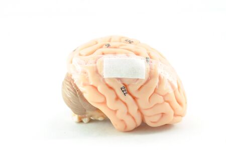 pain of human brainの写真素材