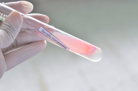 colony in slant agar 