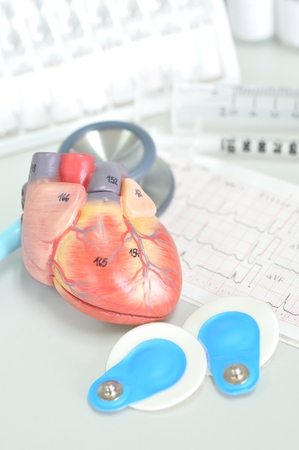 Human heartの写真素材