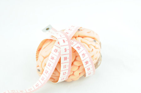 brain and  tape measure