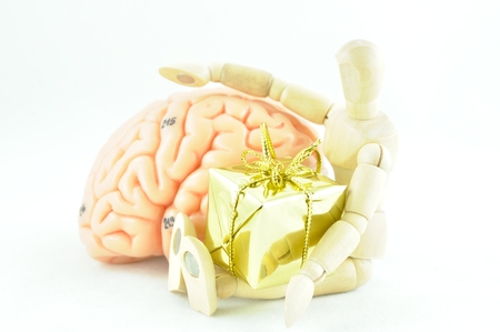 brain and giftの写真素材