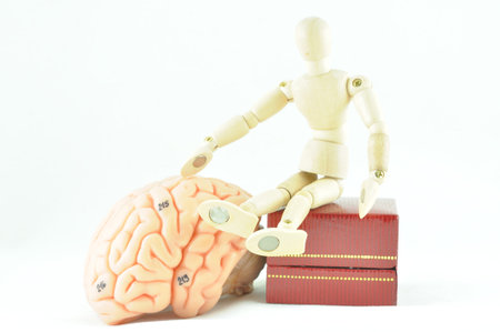 brain and box