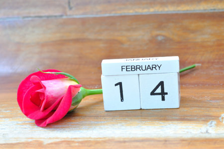 red rose flower