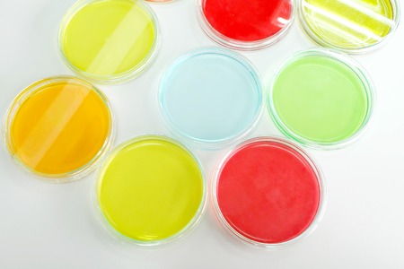 Colorful fluid in petridish for laboratory use on table in laboratoryの写真素材