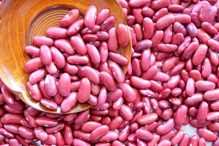 kidney bean in wooden spoon with kidney red background