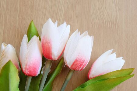 flower and wooden backgroundの写真素材