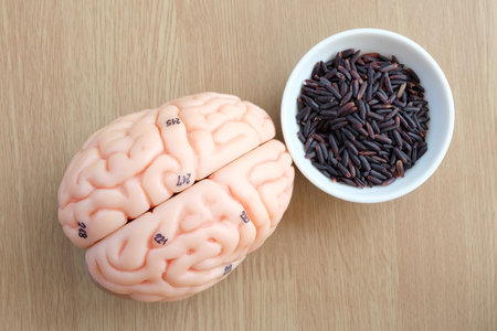 brain and purple rice on wooden background with healthy concept