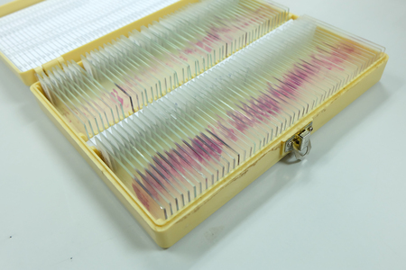 histology slide for laboratoryの写真素材