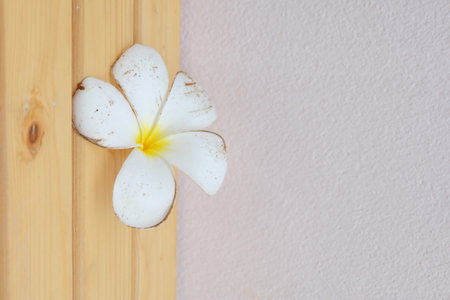 flower on wooden tableの写真素材