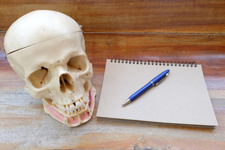 human skull model and note book with wooden backgroundの写真素材