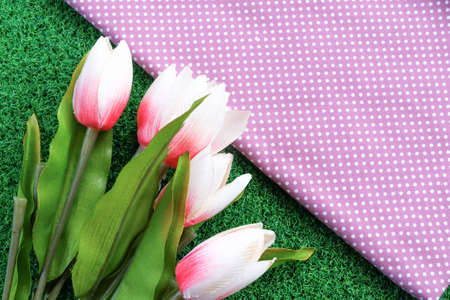 dot cloth and flower on green grass backgroundの写真素材