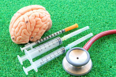 human brain model on green grass background