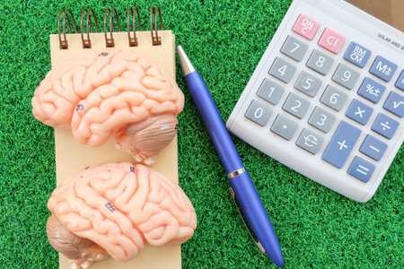 calculator and brain on green grass background in business conceptの写真素材