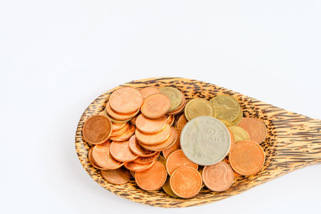 coin in wooden spoon in business concept