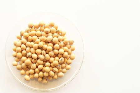soybean with healthy food conceptの写真素材