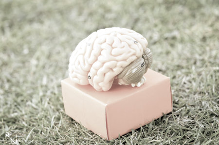 human brain with old styleの写真素材