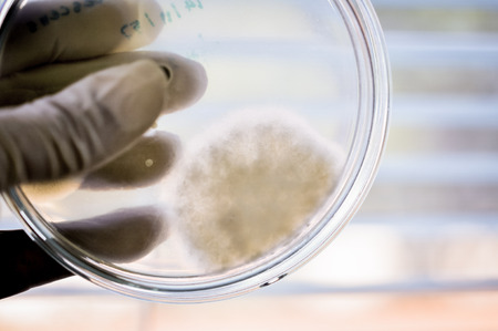 microbiology laboratory test with old color styleの写真素材