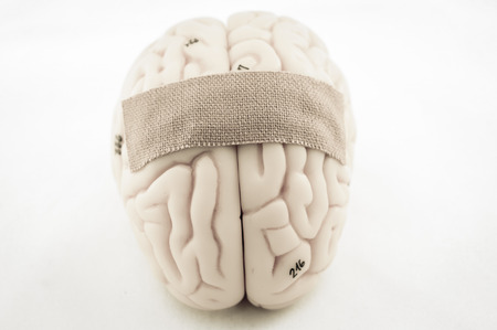 human brain model with old color styleの写真素材