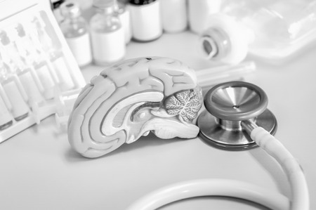 Human brain with black and white colorの写真素材