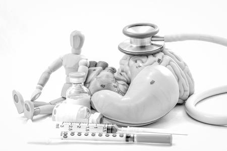 part of human anatomy model with black and white colorの写真素材