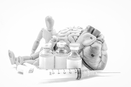 brain and heart of human anatomy model with black and white colorの写真素材