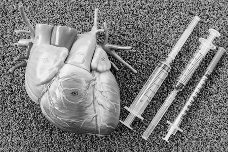 heart human model with black and white colorの写真素材