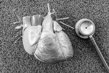 heart human model with black and white colorの写真素材