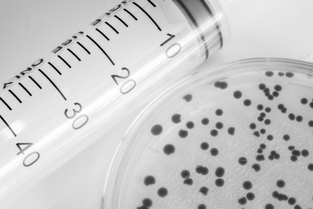 bacteria colony on petridish with black and white colorの写真素材