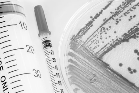 bacteria colony in petridish with black and white