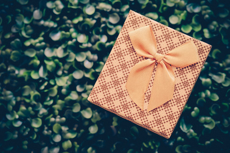 gift box with green background in special conceptの写真素材