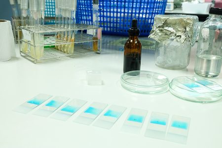 slide of microbiologyの写真素材