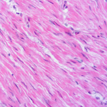 picture of histology human tissue with microscope from laboratory (not Illustration Designation)