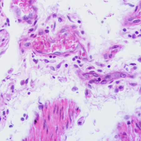 picture of histology human tissue with microscope from laboratory (not Illustration Designation)