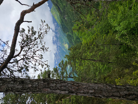 Scenic mountain view in foggy area in the Austrian mountainsの写真素材