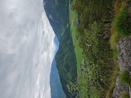 Aerial view of mountain hills covered with dense green lush woods on bright summer day in Austria.の写真素材