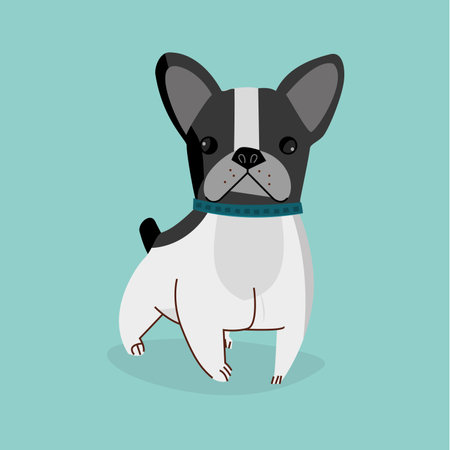 Vector Cartoon French Bulldogの写真素材